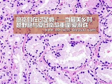 悠岚自在过足瘾——当最美乡村越野跑与夏日岚岛重逢|爱游戏(图3) 爱游戏