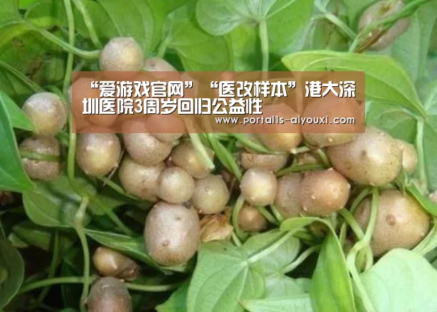 爱游戏