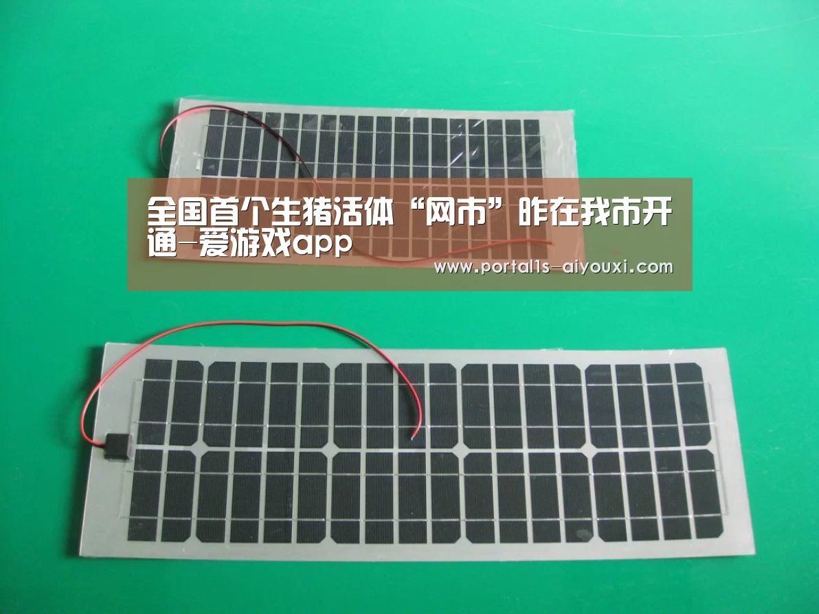 全国首个生猪活体“网市”昨在我市开通-爱游戏app(图1) 爱游戏app
