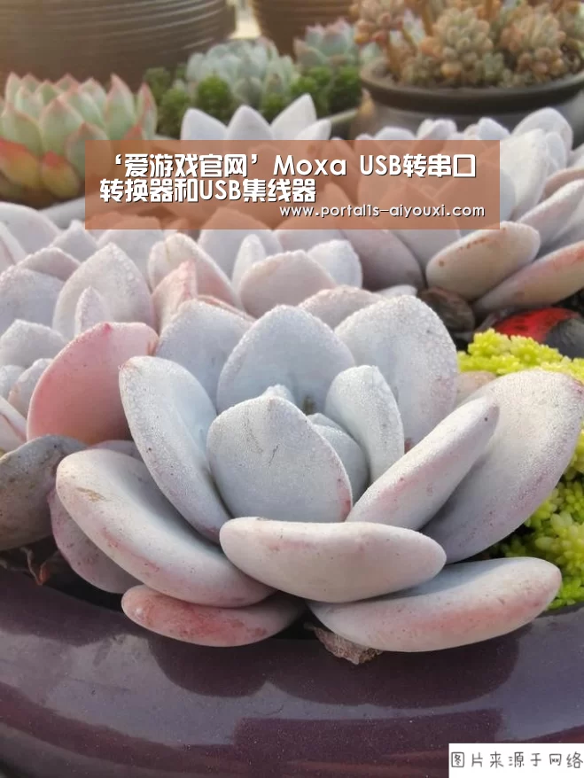 ‘爱游戏官网’Moxa USB转串口转换器和USB集线器(图3) 爱游戏app